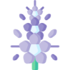 B体育 logo