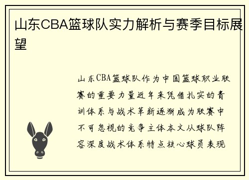 山东CBA篮球队实力解析与赛季目标展望