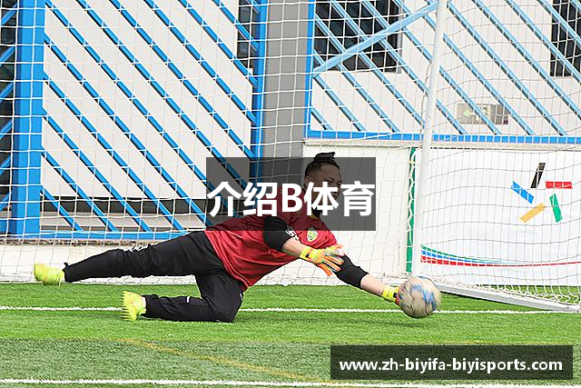介绍B体育
